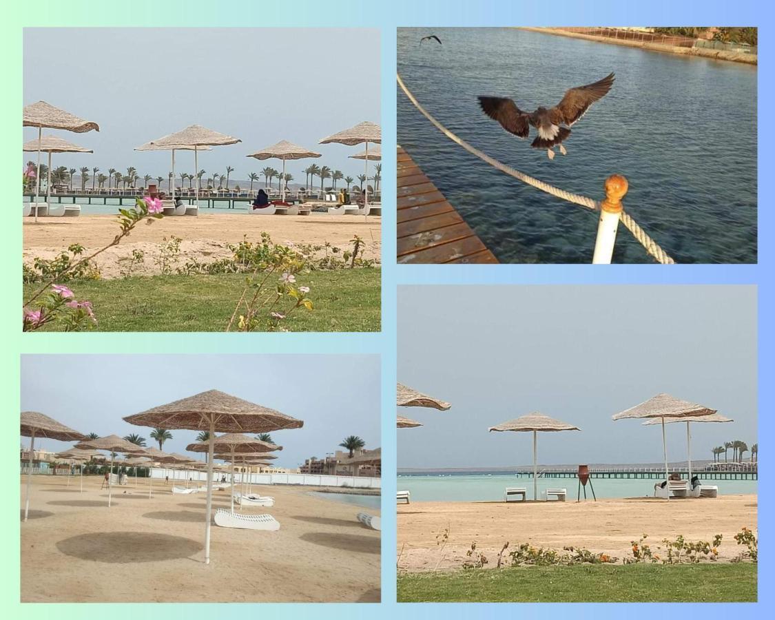 Scandic Resort In Hurghada, Egypt Buitenkant foto